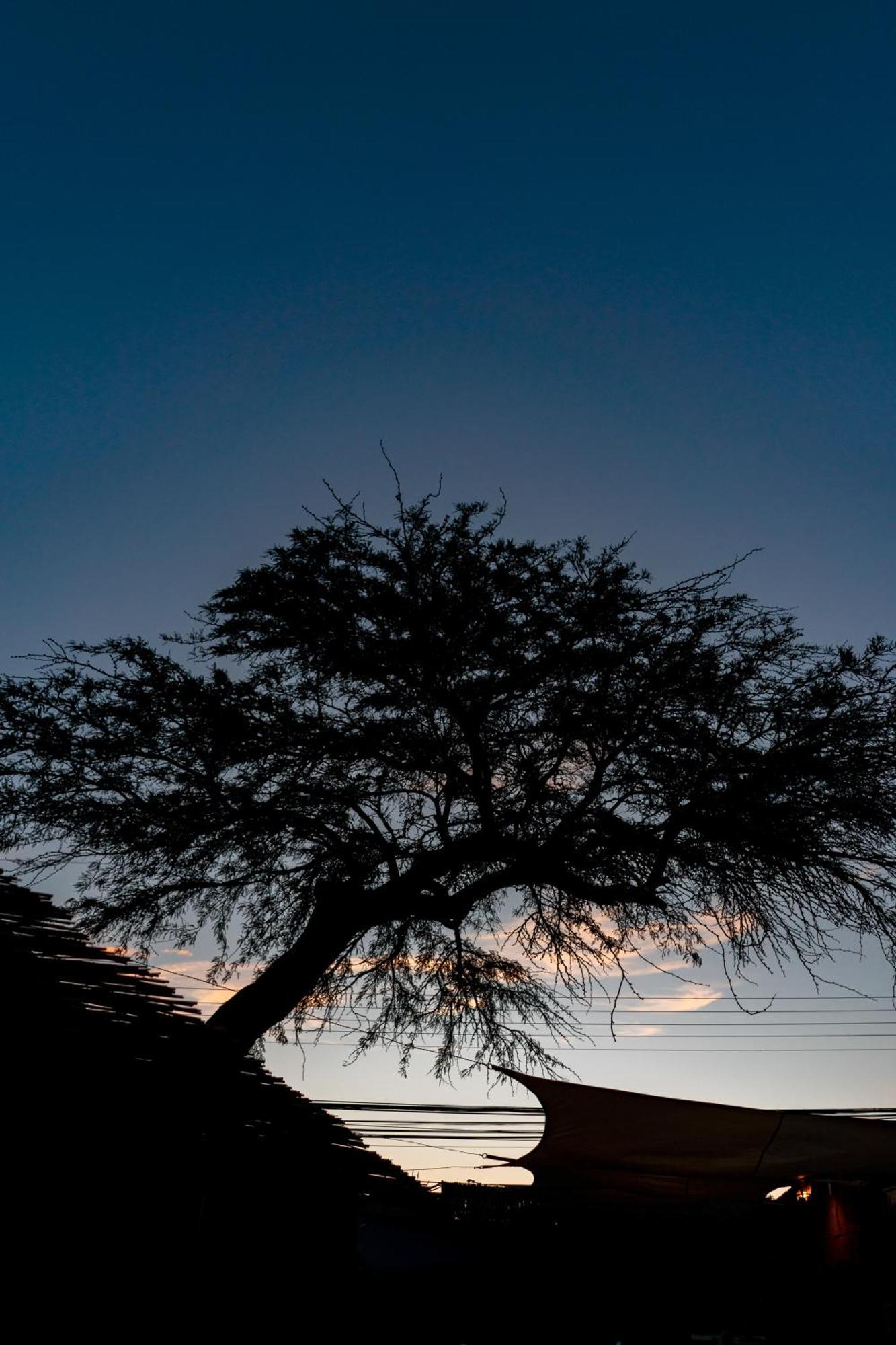 Hostal Katarpe San Pedro de Atacama Bagian luar foto